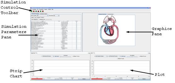 Z:\slow\Katie\cvsim\cvsim_gui_annotated_small.jpg